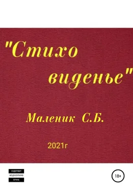 Сергей Маленик Стиховиденье обложка книги