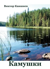 Виктор Каншиев - Камушки