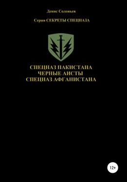 Денис Соловьев Спецназ Пакистана. Черные Аисты. Спецназ Афганистана обложка книги