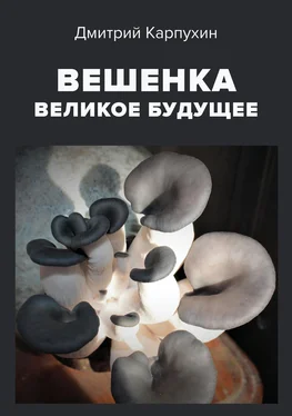 Дмитрий Карпухин Вешенка: великое будущее обложка книги