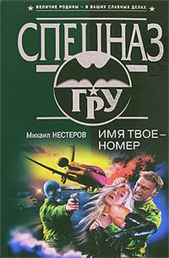 Михаил Нестеров Имя твое – номер обложка книги