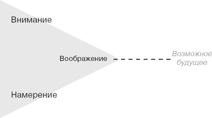Направляя внимание Нейрофизиологи только начинают понимать насколько сильно - фото 133