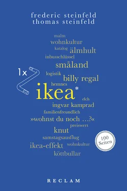 Thomas Steinfeld IKEA. 100 Seiten обложка книги