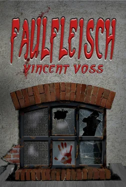 Vincent Voss Faulfleisch обложка книги