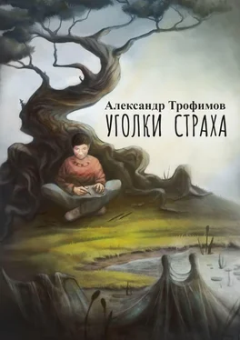 Александр Трофимов Уголки страха обложка книги