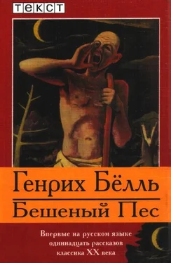 Генрих Бёлль Бешеный Пес обложка книги