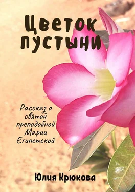 Юлия Крюкова Цветок пустыни обложка книги