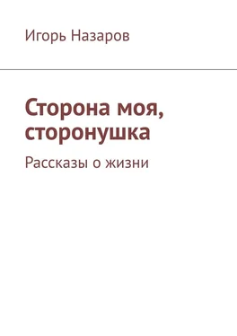 Игорь Назаров Сторона моя, сторонушка. Рассказы о жизни обложка книги