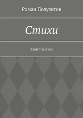 Роман Полуэктов - Стихи. Книга третья