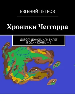 Евгений Петров Хроники Чеггорра. Дорога домой, или билет в один конец – 2 обложка книги