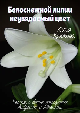 Юлия Крюкова Белоснежной лилии неувядаемый цвет обложка книги