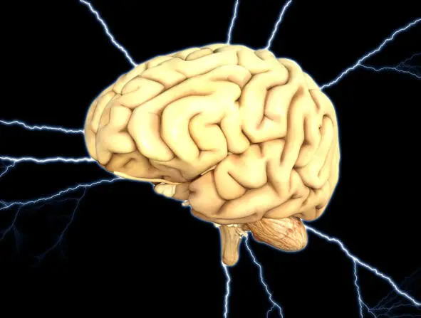 Neuromarketing берет мир штурмом и его применение распространяется на многие - фото 17