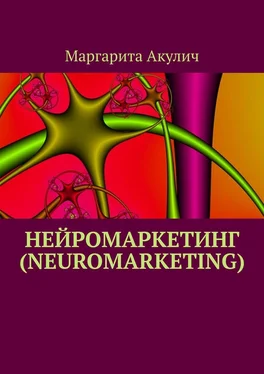 Маргарита Акулич Нейромаркетинг (Neuromarketing) обложка книги