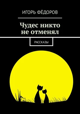 Игорь Фёдоров Чудес никто не отменял. Рассказы обложка книги