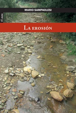 Mario Sampaolesi La erosión обложка книги