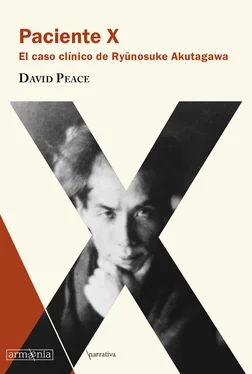 David Peace Paciente X обложка книги