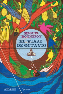 Miguel Bonnefoy El viaje de Octavio обложка книги