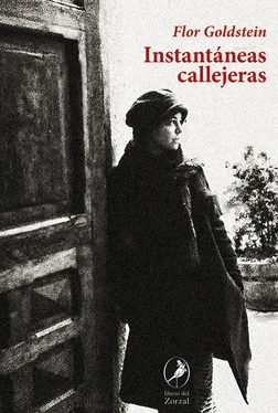 Flor Goldstein Instantáneas callejeras обложка книги