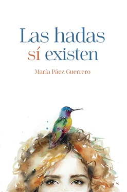 María Páez Guerrero Las hadas si existen обложка книги