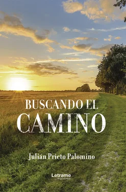 Julián Prieto Palomino Buscando el camino обложка книги