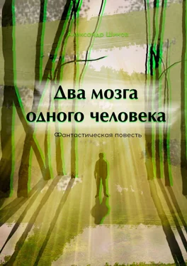 Александр Шиков Два мозга одного человека обложка книги