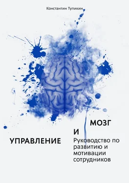 Константин Тупикин Управление и мозг. Руководство по развитию и мотивации сотрудников. Помощь для руководителей обложка книги