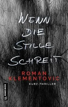 Roman Klementovic Wenn die Stille schreit обложка книги