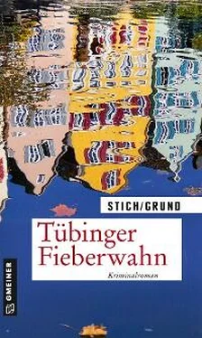 Maria Stich Tübinger Fieberwahn обложка книги