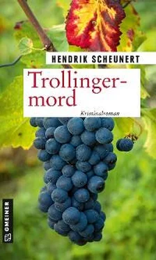 Hendrik Scheunert Trollingermord обложка книги