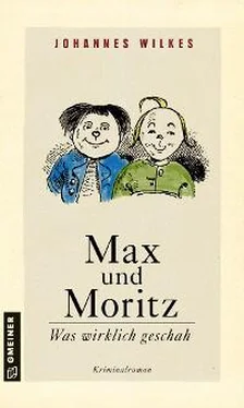 Johannes Wilkes Max und Moritz - Was wirklich geschah обложка книги