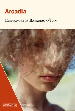 Emmanuelle Bayamack-Tam Arcadia обложка книги
