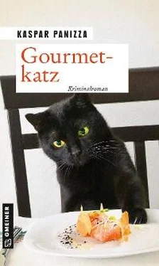 Kaspar Panizza Gourmetkatz обложка книги