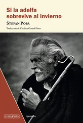 Stefan Popa - Si la adelfa sobrevive al invierno