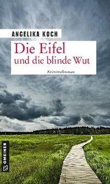 Angelika Koch Die Eifel und die blinde Wut обложка книги
