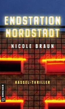 Nicole Braun Endstation Nordstadt обложка книги