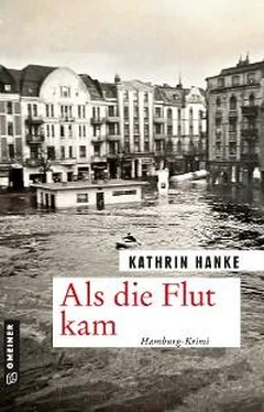 Kathrin Hanke Als die Flut kam обложка книги