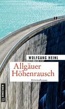 Wolfgang Heinl Allgäuer Höhenrausch обложка книги