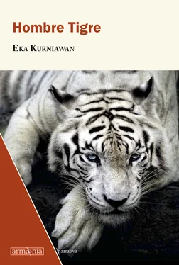 Eka Kurniawan Hombre Tigre обложка книги