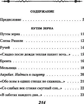 Тяжёлая лира - фото 3