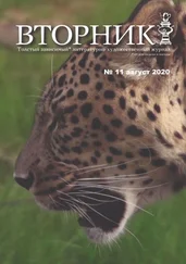 Игорь Михайлов - Вторник. №11, август 2020. Толстый, зависимый от дня недели и погоды, литературно-художественный журнал