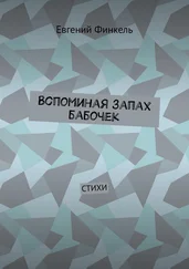 Евгений Финкель - Вспоминая запах бабочек. Стихи