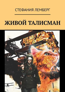 Стефания Лемберг Живой талисман обложка книги