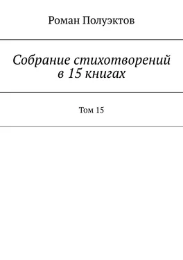 Роман Полуэктов Собрание стихотворений в 15 книгах. Том 15 обложка книги