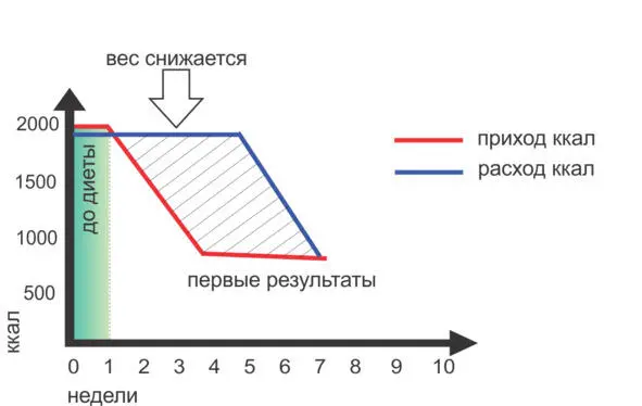 Вы сели на диету Допустим сократили калории до 8001200 ккал в день Не - фото 5