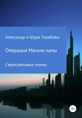 Александр Теребов - Сверхсветовые Пчелы. Операция Мягкие лапы