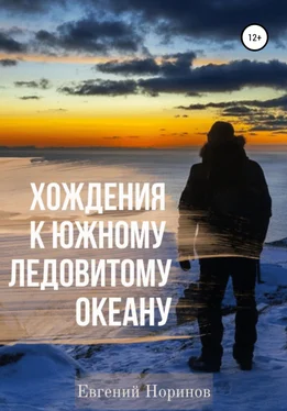 Евгений Норинов Хождения к Южному Ледовитому океану обложка книги