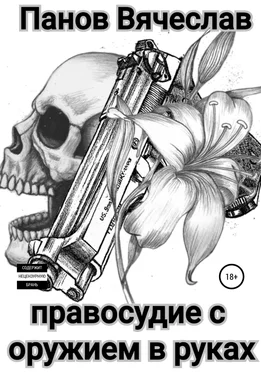 Вячеслав Панов Правосудие с оружием в руках обложка книги