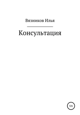 Илья Вязников Консультация обложка книги