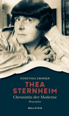 Dorothea Zwirner Thea Sternheim - Chronistin der Moderne обложка книги