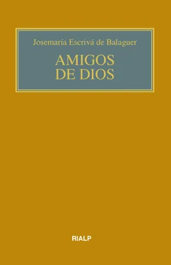 Josemaria Escriva de Balaguer Amigos de Dios (bolsillo, rústica, color) обложка книги